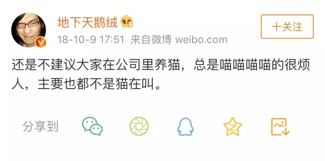 如何让猫咪知道自己的名字