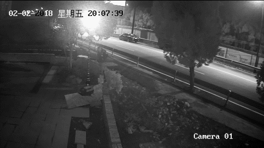 狗王偷狗事件是真的吗