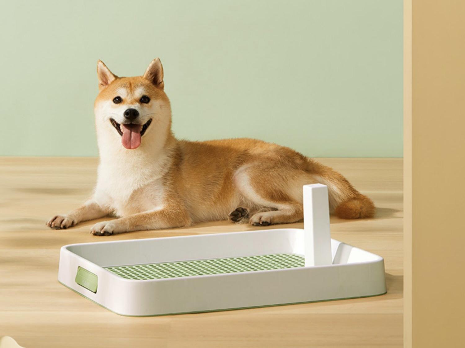 十大热门狗厕所排行榜