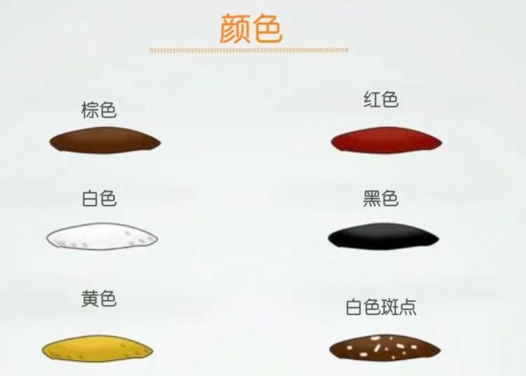 狗黄是什么东西