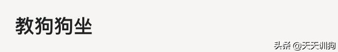 狗狗坐立动作怎么训练