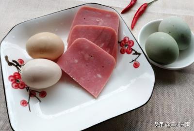 养狐狸当宠物可行？（狐狸好养吗）