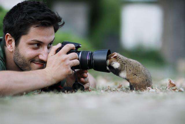 摄影师花10年拍摄仓鼠，这是最好的20张照片，老鼠也能拍得这么美