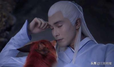 养狐狸当宠物可行？（狐狸好养吗）