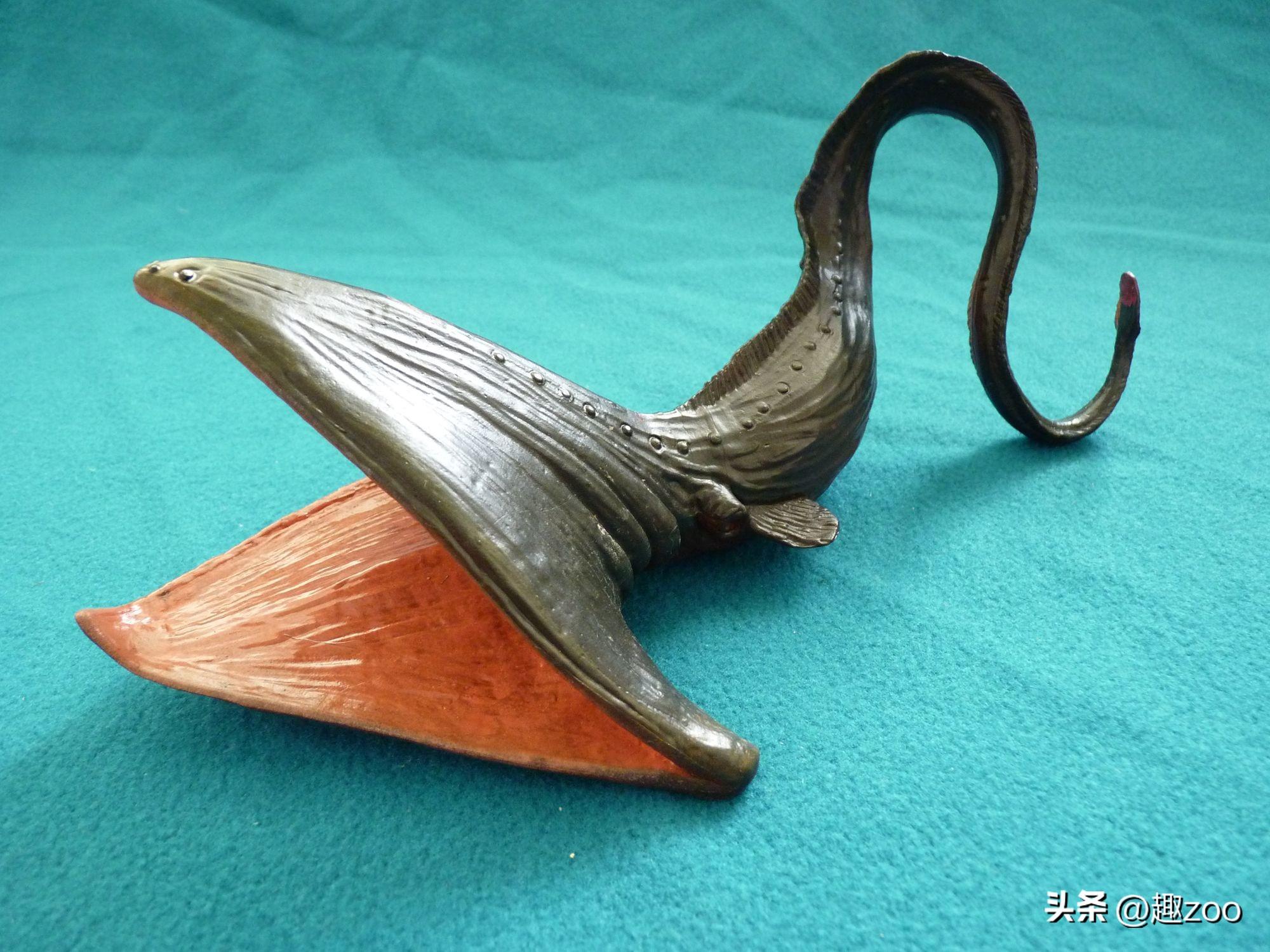 斧头鱼会发光吗（银板鱼品种大全）