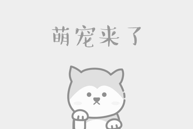 四个月的吉娃娃吃什么(吉娃娃6个月不会叫）