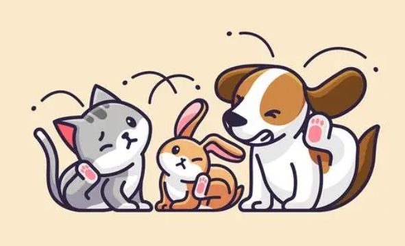 狗狗几个月开始认主人 幼犬到家三大忌