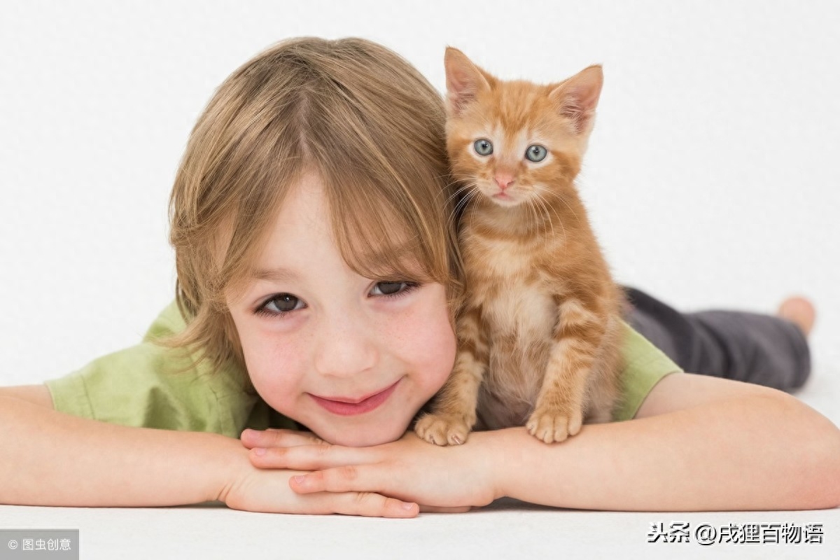 猫爬过的床单有弓形虫么（危：猫狗带来的弓形虫对孕妇有影响）