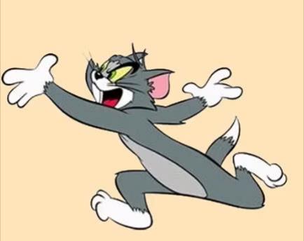 汤姆是什么品种的猫（汤姆猫图片）