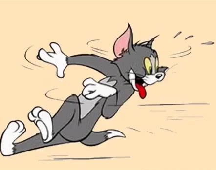 汤姆是什么品种的猫（汤姆猫图片）