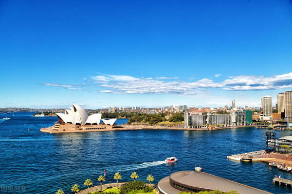 澳大利亚的国宝动物是谁呢