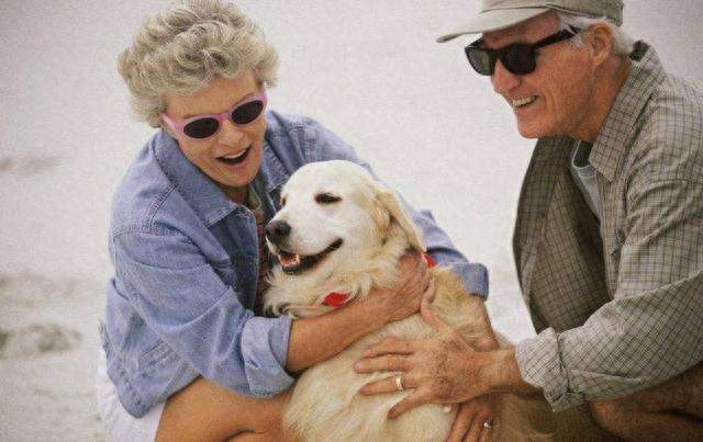 什么品种的狗适合男人用（附：男孩子养上一只面上都带光的狗）