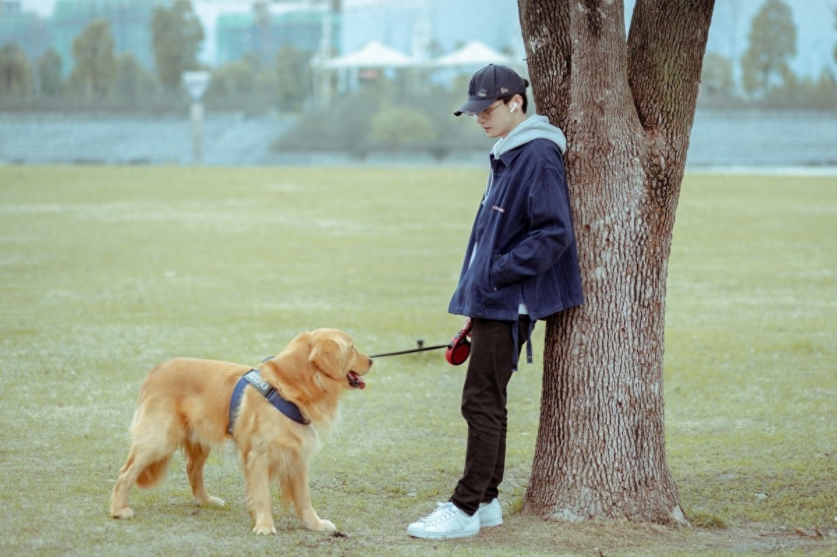 什么品种的狗适合男人用