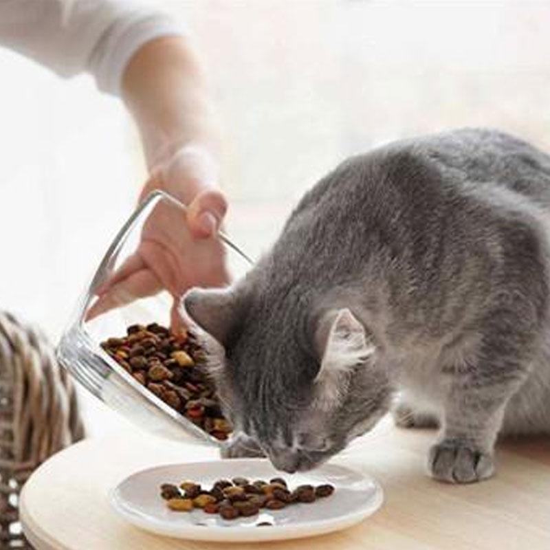 猫为什么越养脾气越大呢（养了几年的猫还是很凶要注意什么）