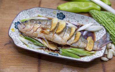 什么鱼含有蛋白质最高