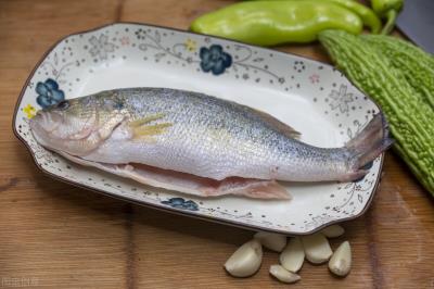 什么鱼含有蛋白质最高