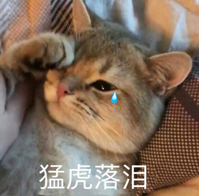 猫咪流泪是因为伤心吗