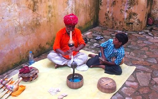 蛇会保护主人是真的吗?（附：宠物蛇会认主人吗）