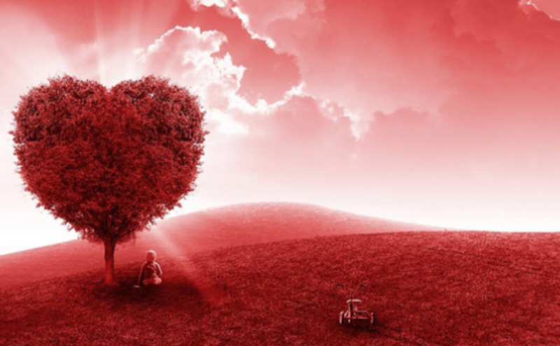 10种最好养的仓鼠名单（详解：养哪几种仓鼠好）