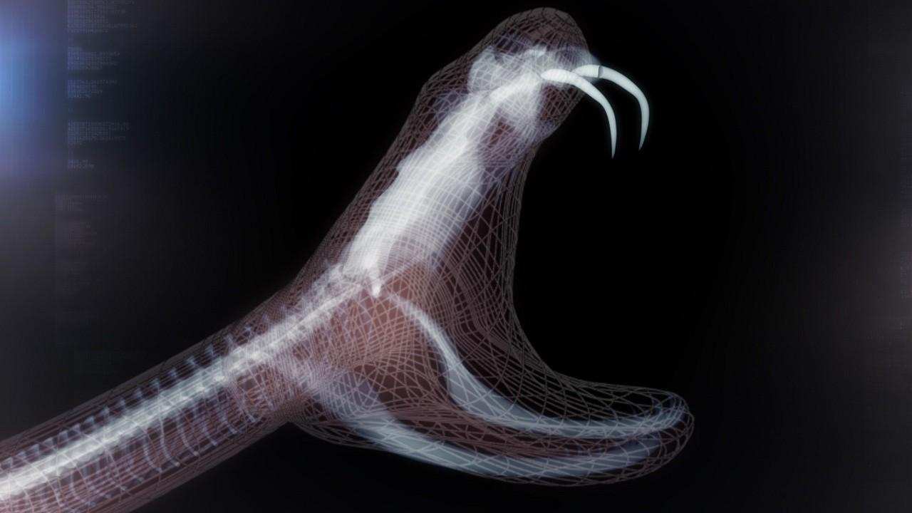 蛇会保护主人是真的吗?（附：宠物蛇会认主人吗）