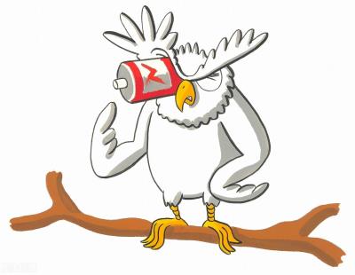 猫头鹰吃什么东西作为食物