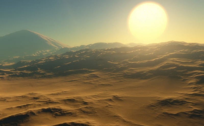 10种最好养的仓鼠名单（详解：养哪几种仓鼠好）