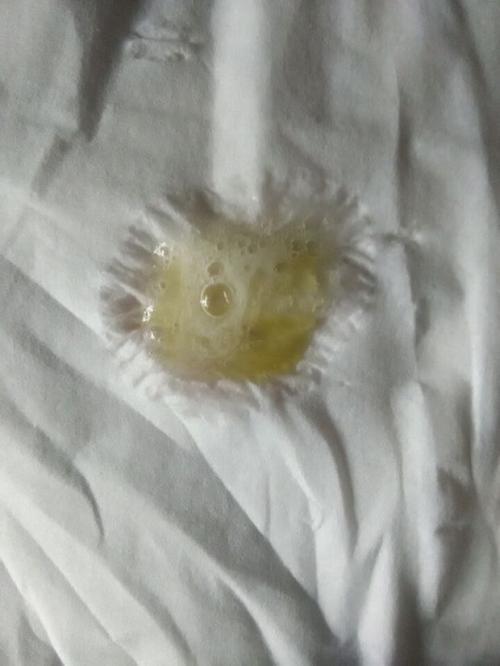 猫嗓子像卡了痰一样 猫喉咙里有痰音叫声哑