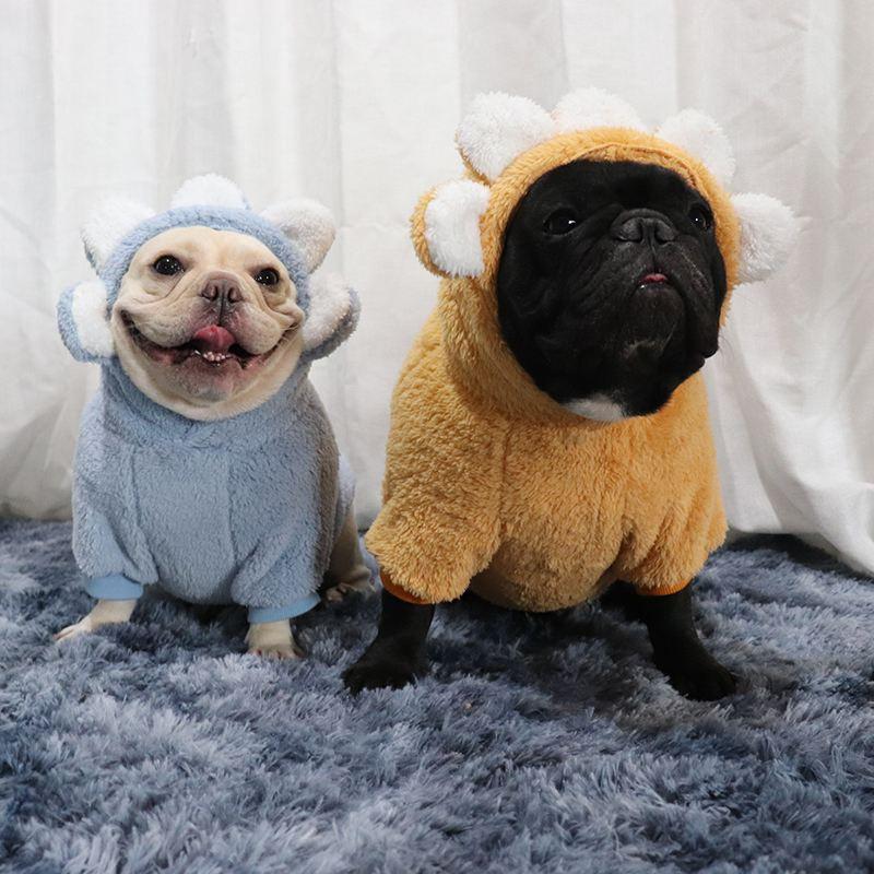 巴哥和法斗的区别（巴哥犬纯种幼犬图片）