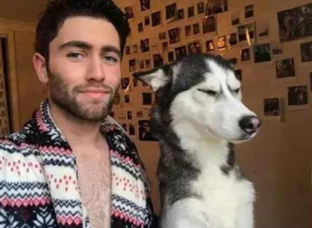 8大新手好养的狗狗推荐