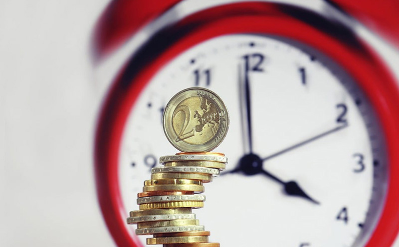 盘点兔子爱吃的几种食物（附：农村家庭养兔子的饲养食物大全）