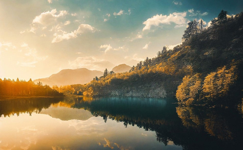 盘点兔子爱吃的几种食物（附：农村家庭养兔子的饲养食物大全）