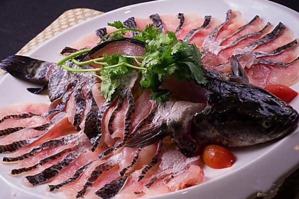 黑鱼用自来水养会死吗（详解：黑鱼养殖条件和要求）