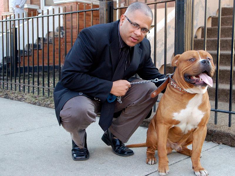 小狗品相取决于父亲还是母亲多一点（教你一窝狗怎么挑最好的）