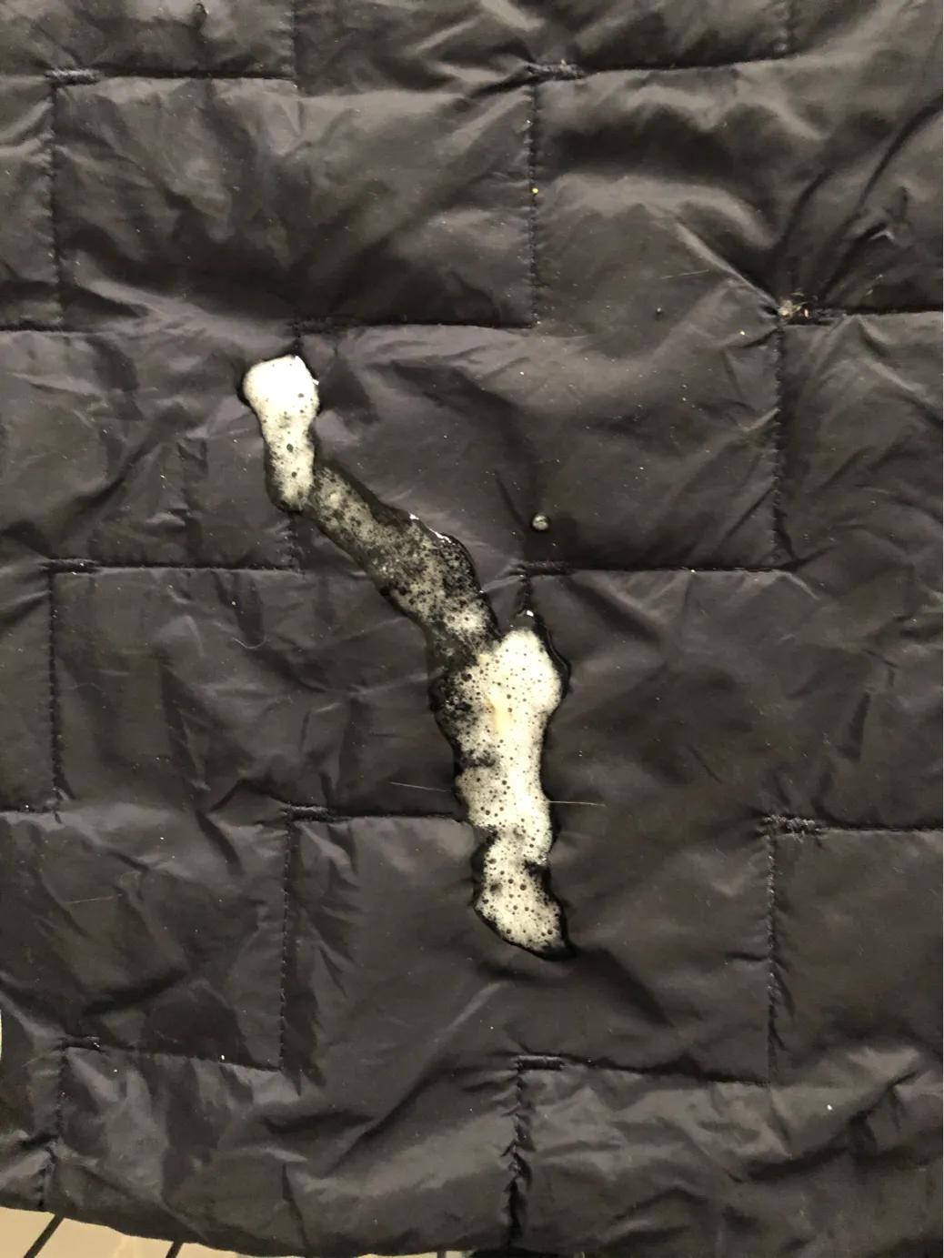 猫咪肠胃炎好转的迹象有哪些（猫咪得了肠胃炎怎么办及猫肠胃炎症状表现）