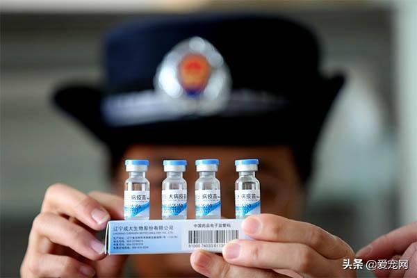 10天观察法可以排除狂犬病吗（盘点排除狂犬病最简单的方法）