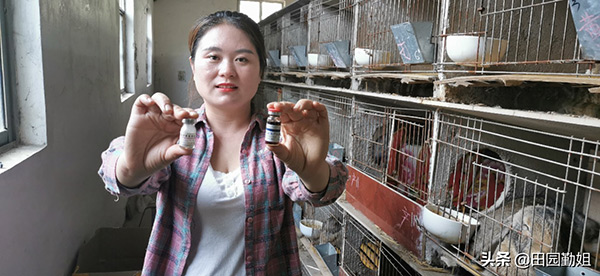 兔子拉稀吃什么药好呢