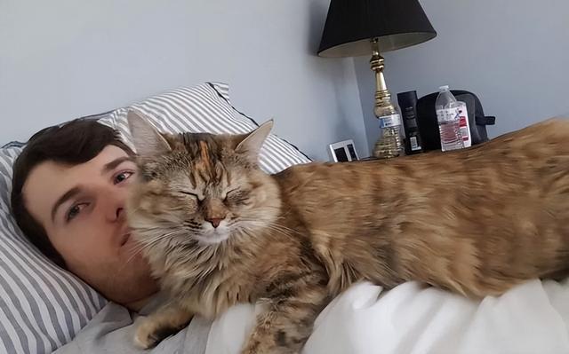 猫和人一起睡的危害(猫和人一起睡有危害吗)