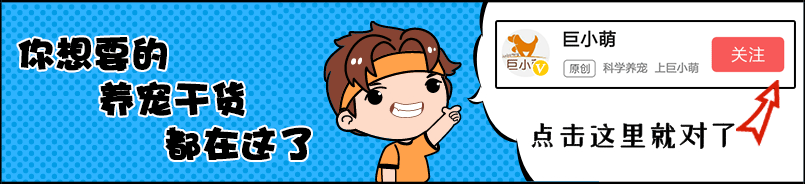 让狗狗不受罪的死法的药除了安乐死（在家怎么给狗狗安乐）