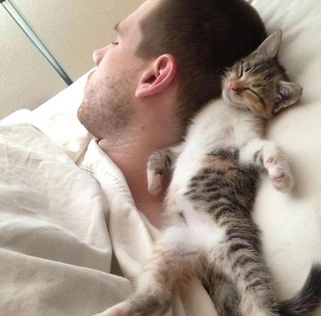 猫和人一起睡的危害(猫和人一起睡有危害吗)
