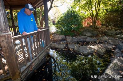 锦鲤鱼越来越瘦怎么回事（美国大叔养锦鲤怎么这么难）