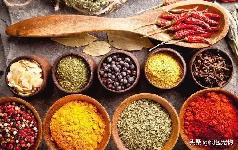 猫最怕气味排名第一且长期有效（怎么彻底驱赶野猫让它不再来）