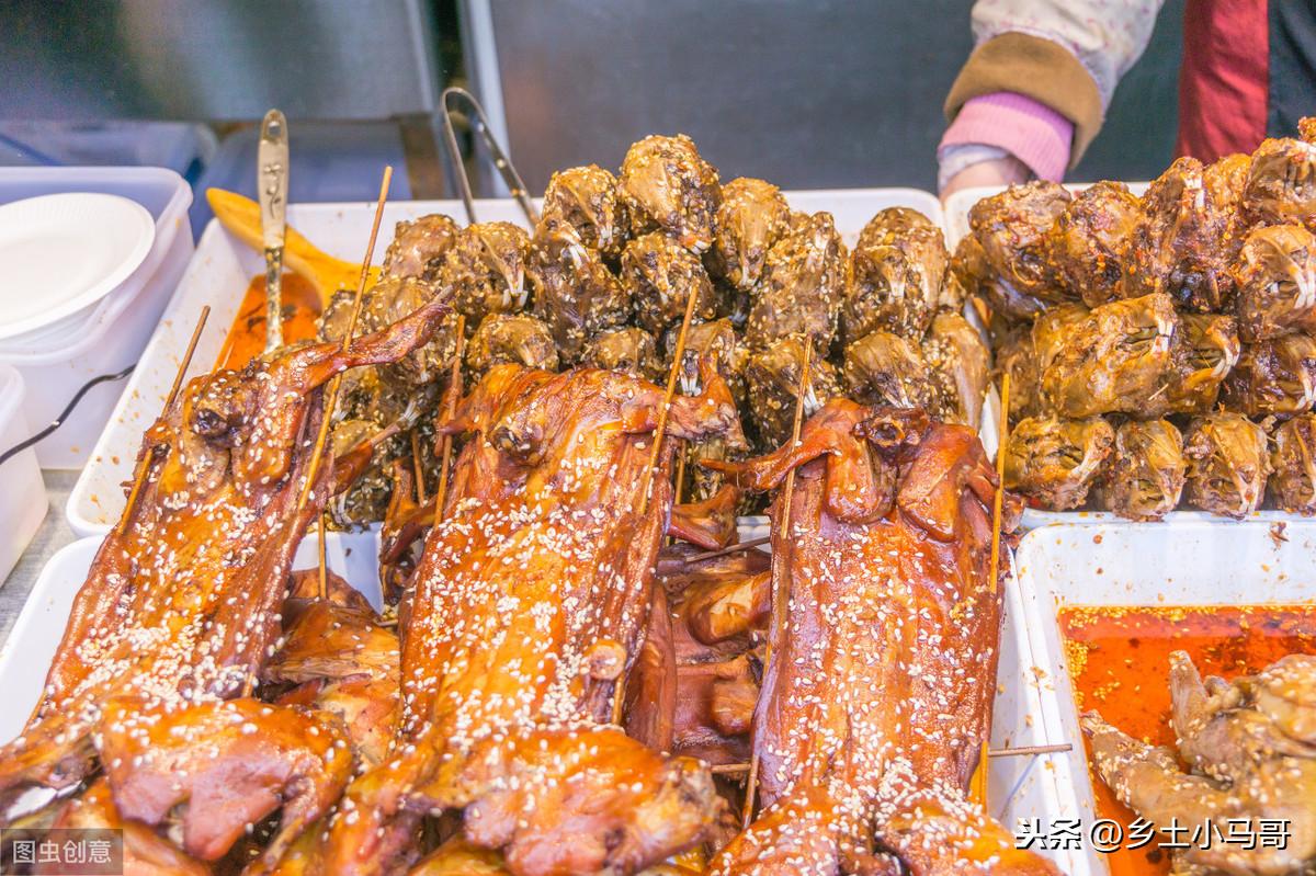 教你养宠物兔的实用方法和技巧