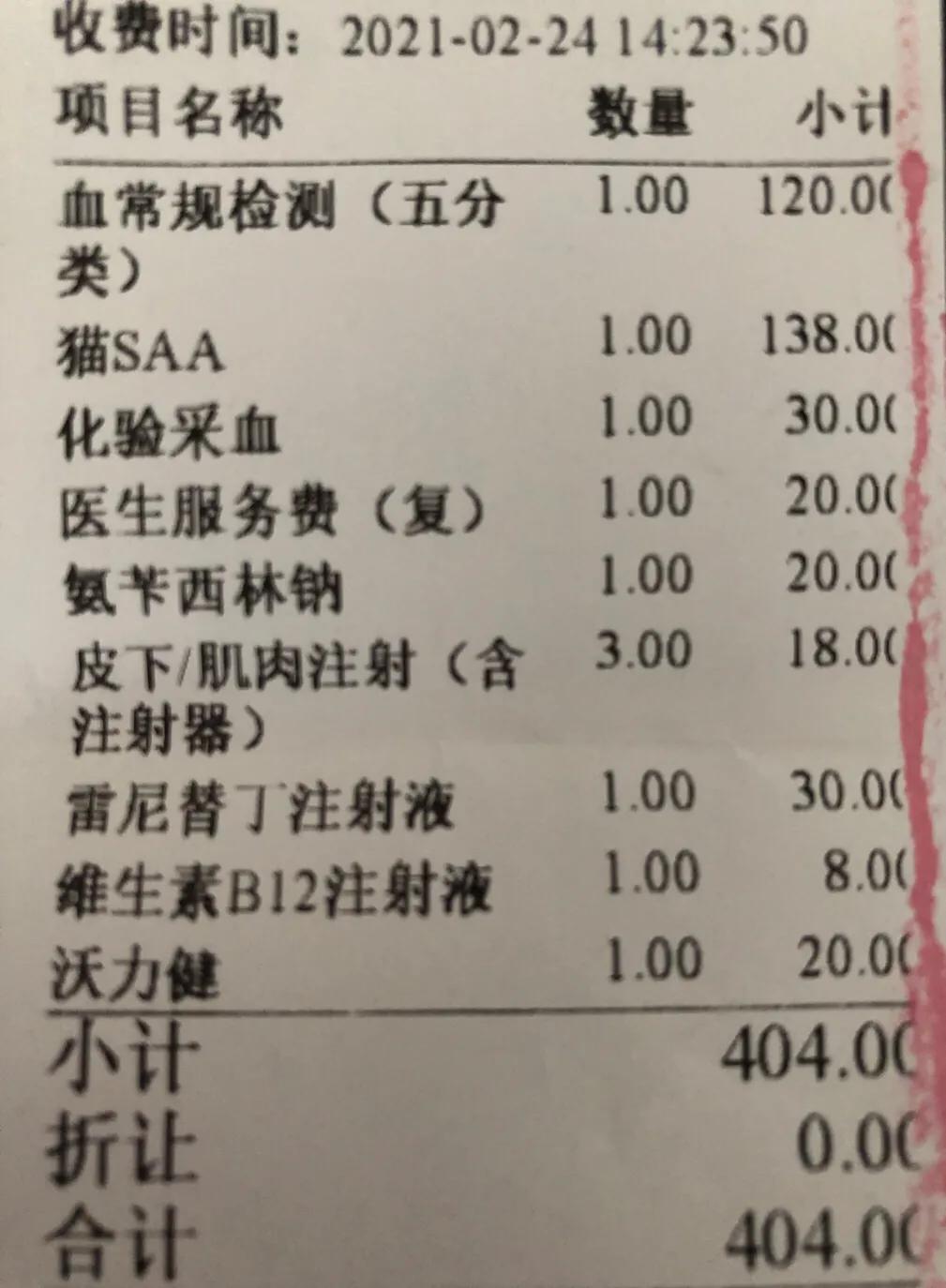 猫咪肠胃炎好转的迹象有哪些（猫咪得了肠胃炎怎么办及猫肠胃炎症状表现）