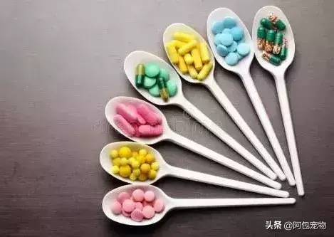 猫最怕气味排名第一且长期有效（怎么彻底驱赶野猫让它不再来）