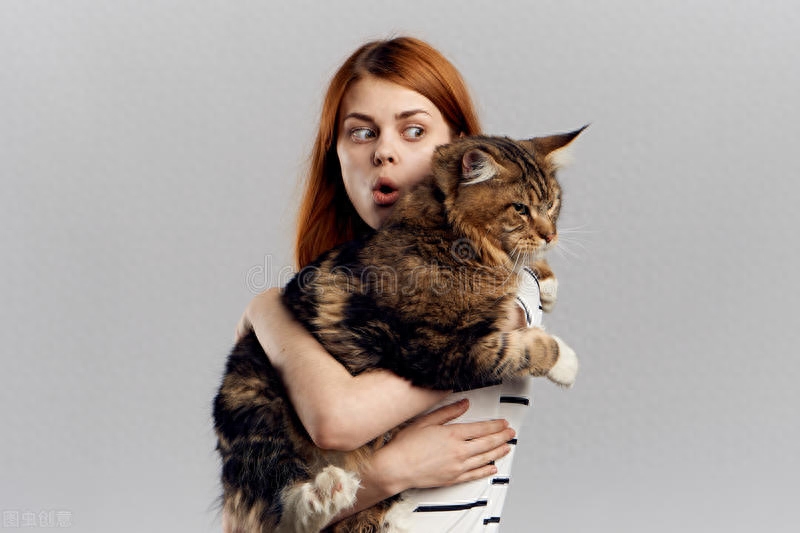 2个月小猫一顿吃15粒猫粮行吗（教你喂养和训练两个月的小奶猫）