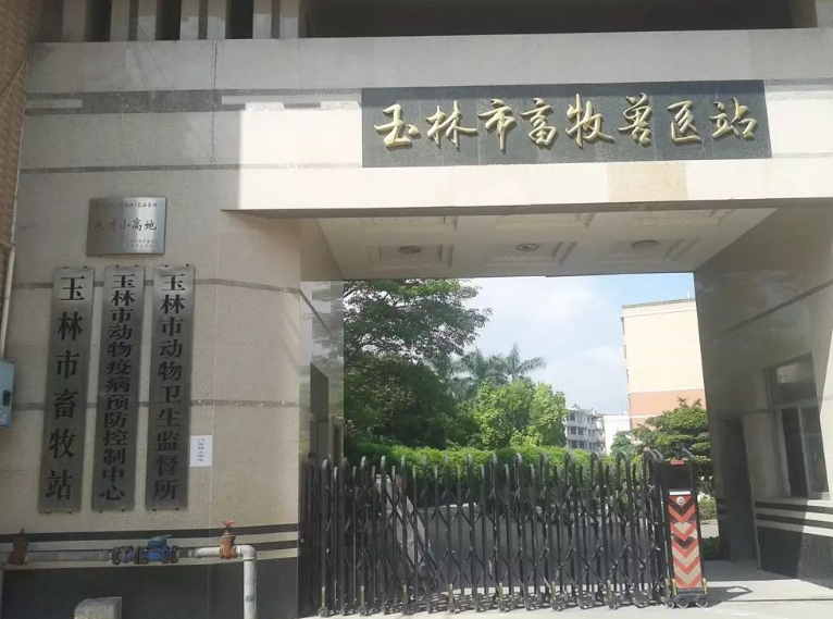 宠物生病了没钱治怎么办（宠物医院的套路连莆田系看了都流泪）