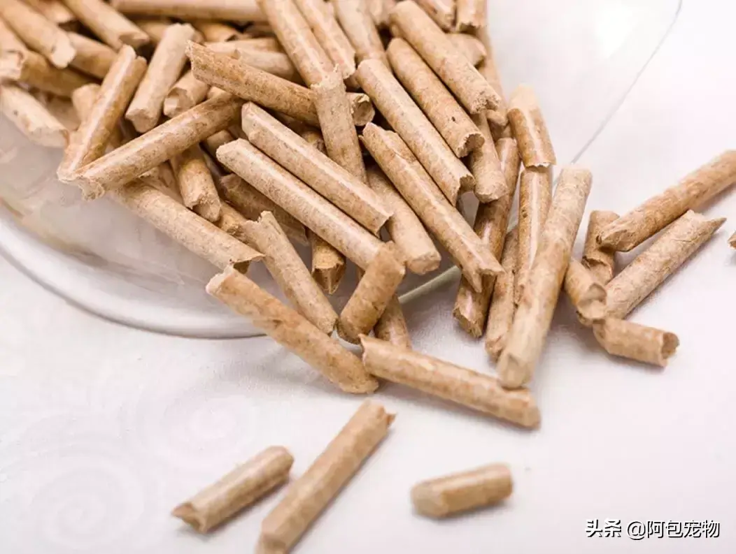 猫最怕气味排名第一且长期有效（怎么彻底驱赶野猫让它不再来）