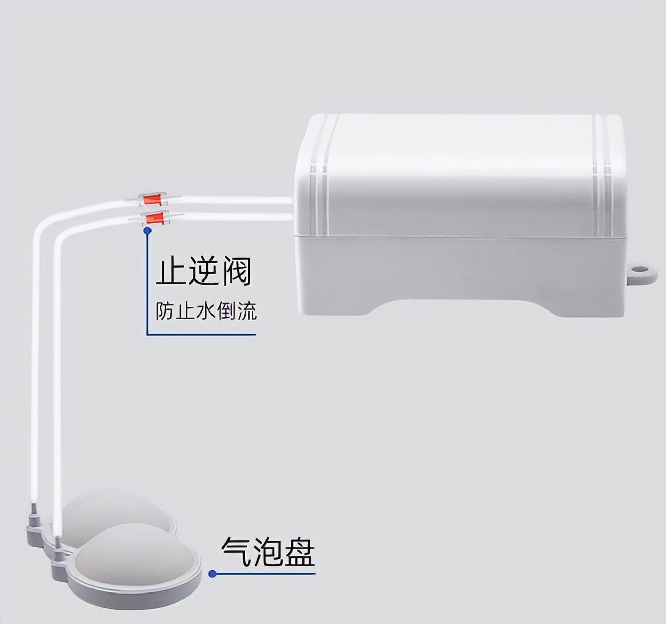 鱼缸增氧泵的正确使用方法（一直开氧气泵会影响鱼休息吗）