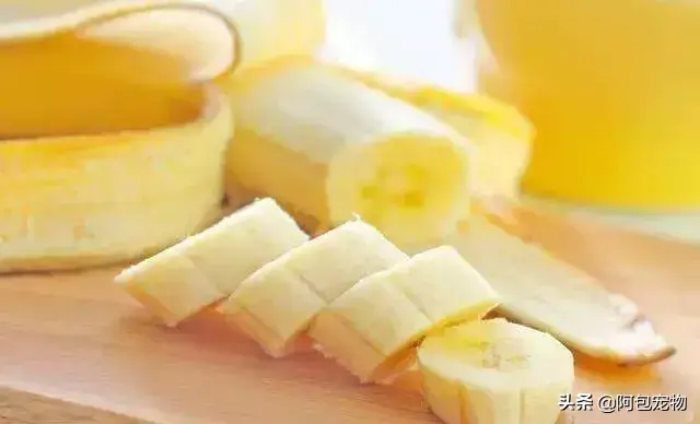 猫最怕气味排名第一且长期有效（怎么彻底驱赶野猫让它不再来）