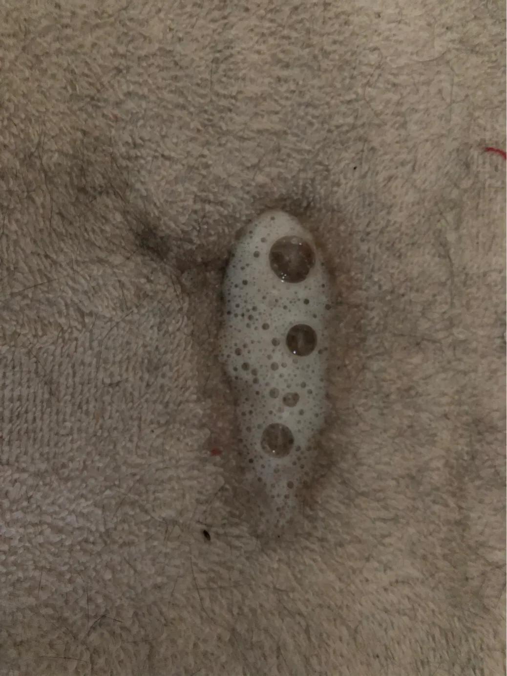 猫咪肠胃炎好转的迹象有哪些（猫咪得了肠胃炎怎么办及猫肠胃炎症状表现）